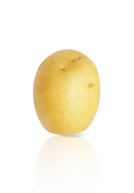 Pomme de Terre Chopin