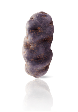 Pomme de Terre Vitelotte